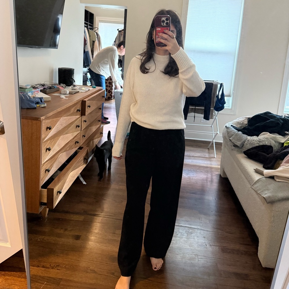 Aritzia effortless pants